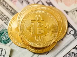 How to gain more profits from your Crypto Investments?
