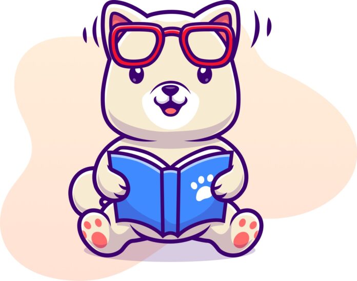 Will Kishu Inu take over Shiba Inu? Here’s everything you must know before investing!