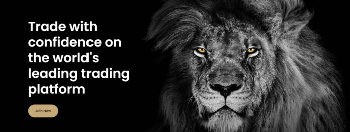 B-Finances Review ~ Reasons why I chose this particular broker (www.b-finances.com)