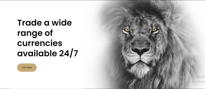 Brown Finance Review 2022 – Impressive or not?