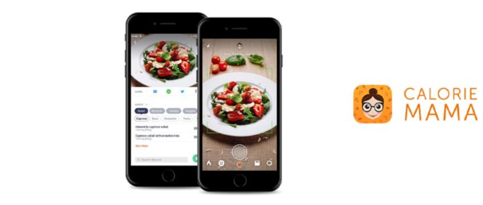 5 Most Popular Image Recognition Apps in 2023