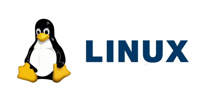 What is a Linux Server Platform, and Why Might Your Business Want One?