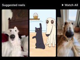 How can you fix Instagram 'Suggested Reels' not playing or working issue