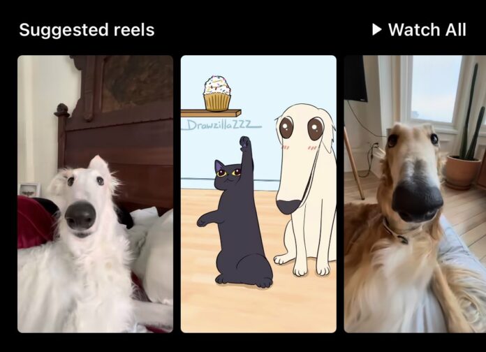 How can you fix Instagram ‘Suggested Reels’ not playing or working issue?