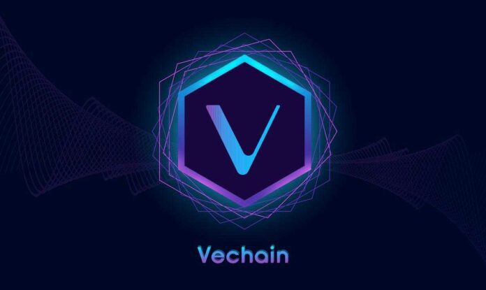 VeChain: Transforming Supply Chain Management with Blockchain
