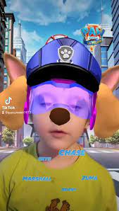 How to do TikTok Paw Patrol filter on your pets and turn them out into cartoon characters