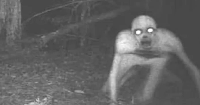 Are skinwalkers real? TikTok terrified over ‘skinwalker in Paris’ sightings ahead of Halloween