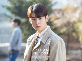 Is Cha Eunwoo's A Good Day To Be A Dog Dub streaming on Netflix
