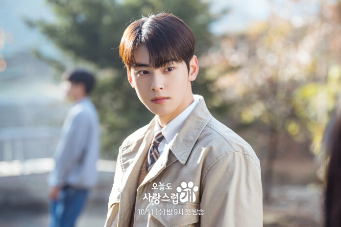 Is Cha Eunwoo’s A Good Day To Be A Dog Dub streaming on Netflix?